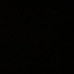 Meet your Posher, Vinessa